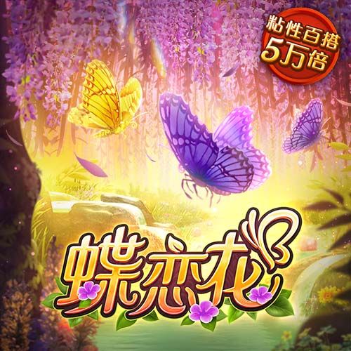 神炮手阿Sue